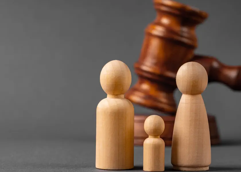 Il diritto di famiglia, principi e prospettive di riforma