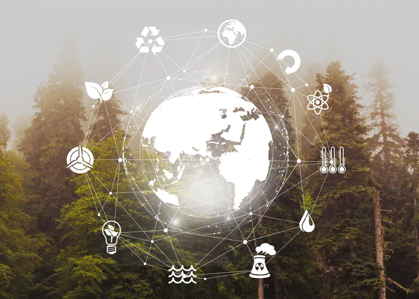 Diritto e salvaguardia dell’ambiente e tutela del territorio