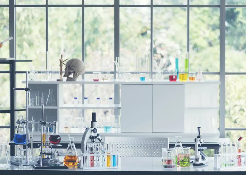 L’insegnamento delle scienze naturali (1SN)